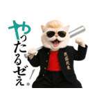 リアル猫ニャンキー（個別スタンプ：21）