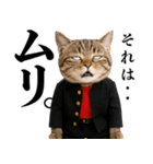 リアル猫ニャンキー（個別スタンプ：28）