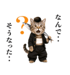 リアル猫ニャンキー（個別スタンプ：29）