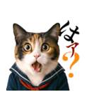 リアル猫ニャンキー（個別スタンプ：30）