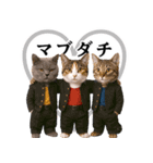 リアル猫ニャンキー（個別スタンプ：32）