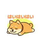 柴犬おいもファミリー（個別スタンプ：5）