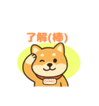 柴犬おいもファミリー（個別スタンプ：6）