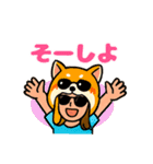 柴犬おいもファミリー（個別スタンプ：16）
