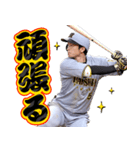 阪神タイガース ビジターユニフォームver.（個別スタンプ：8）