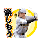 阪神タイガース ビジターユニフォームver.（個別スタンプ：14）
