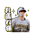 阪神タイガース ビジターユニフォームver.（個別スタンプ：22）