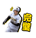 阪神タイガース ビジターユニフォームver.（個別スタンプ：24）