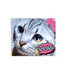 動くんです！短足猫スタンプ（個別スタンプ：4）