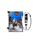 動くんです！短足猫スタンプ（個別スタンプ：15）