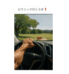 ムキムキ写真添付ビッグスタンプ（個別スタンプ：11）