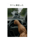ムキムキ写真添付ビッグスタンプ（個別スタンプ：14）