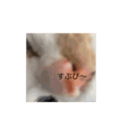⚪️長野県から来ました茶々です⚪️（個別スタンプ：8）