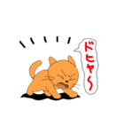 アクションk-gigi 19（個別スタンプ：1）