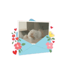 ミィくん遊んだら眠くなったよ（個別スタンプ：3）