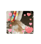 ミィくん遊んだら眠くなったよ（個別スタンプ：9）