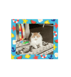 ミィくん遊んだら眠くなったよ（個別スタンプ：10）