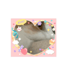ミィくん遊んだら眠くなったよ（個別スタンプ：14）