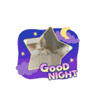 ミィくん遊んだら眠くなったよ（個別スタンプ：15）