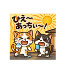 にゃ～んSticker(桜月＆ホームズ）7月（個別スタンプ：12）