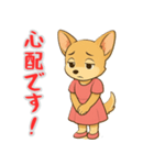 チワワの喜怒哀楽スタンプ2（個別スタンプ：13）