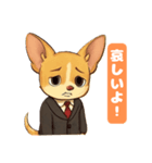 チワワの喜怒哀楽スタンプ1（個別スタンプ：3）