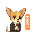チワワの喜怒哀楽スタンプ1（個別スタンプ：11）