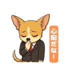 チワワの喜怒哀楽スタンプ1（個別スタンプ：13）