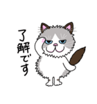 ラグドールもーちゃんの日常1（個別スタンプ：1）