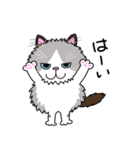 ラグドールもーちゃんの日常1（個別スタンプ：2）