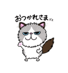 ラグドールもーちゃんの日常1（個別スタンプ：5）