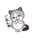 ラグドールもーちゃんの日常1（個別スタンプ：7）