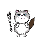 ラグドールもーちゃんの日常1（個別スタンプ：9）