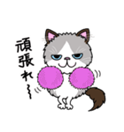 ラグドールもーちゃんの日常1（個別スタンプ：10）