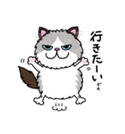 ラグドールもーちゃんの日常1（個別スタンプ：11）