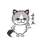 ラグドールもーちゃんの日常1（個別スタンプ：13）