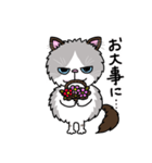 ラグドールもーちゃんの日常1（個別スタンプ：15）