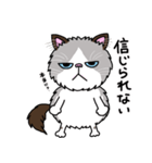 ラグドールもーちゃんの日常1（個別スタンプ：19）