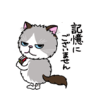 ラグドールもーちゃんの日常1（個別スタンプ：24）