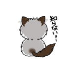 ラグドールもーちゃんの日常1（個別スタンプ：25）