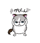 ラグドールもーちゃんの日常1（個別スタンプ：29）