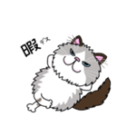 ラグドールもーちゃんの日常1（個別スタンプ：31）