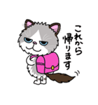 ラグドールもーちゃんの日常1（個別スタンプ：34）