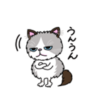 ラグドールもーちゃんの日常1（個別スタンプ：35）