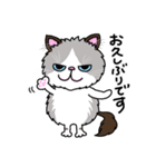ラグドールもーちゃんの日常1（個別スタンプ：36）