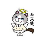 ラグドールもーちゃんの日常1（個別スタンプ：37）