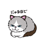 ラグドールもーちゃんの日常1（個別スタンプ：40）