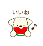 ふらふぃーとチャビィの日常スタンプ（夏）（個別スタンプ：2）