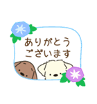 ふらふぃーとチャビィの日常スタンプ（夏）（個別スタンプ：11）