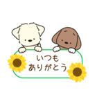 ふらふぃーとチャビィの日常スタンプ（夏）（個別スタンプ：13）